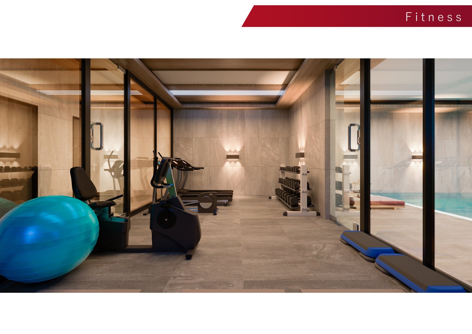 Fitness & Wellness